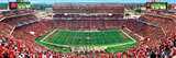 49ers 1000pc Panoramic Puzzle- DS