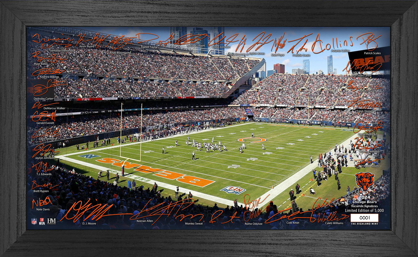 Chicago Bears 2024 NFL Signature Gridiron