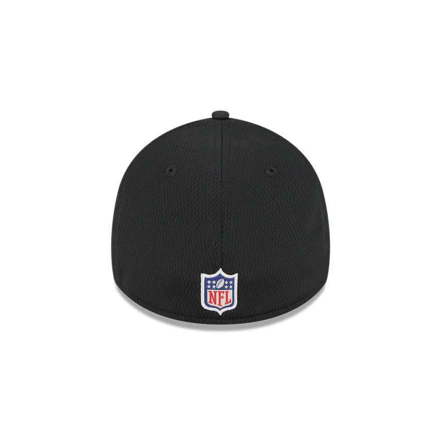 Panthers 2023 NFL Training Camp 39THIRTY Flex Hat