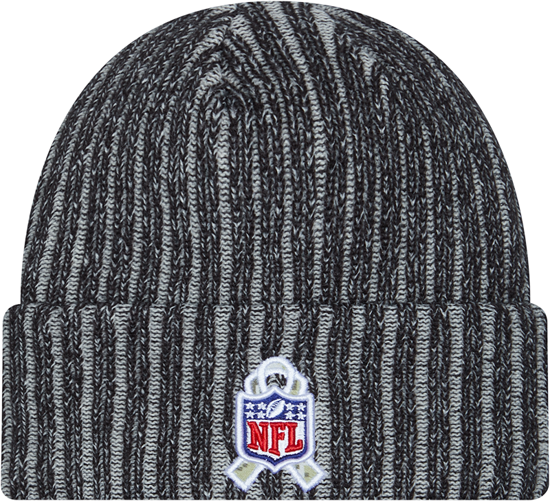 Patriots New Era 2023 Salute to Service Knit Hat