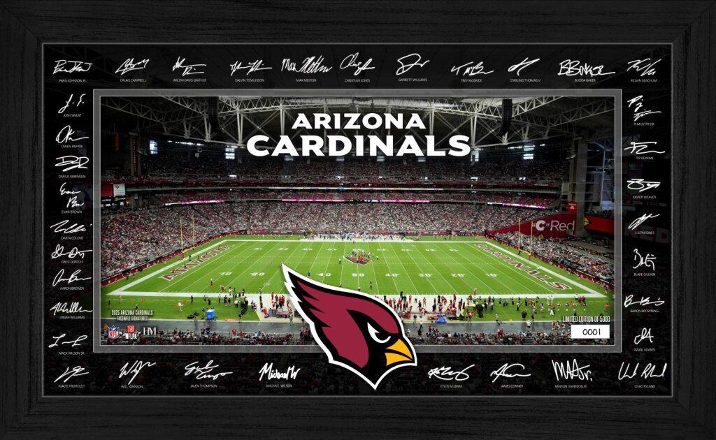 Cardinals 2025 NFL Signature Gridiron