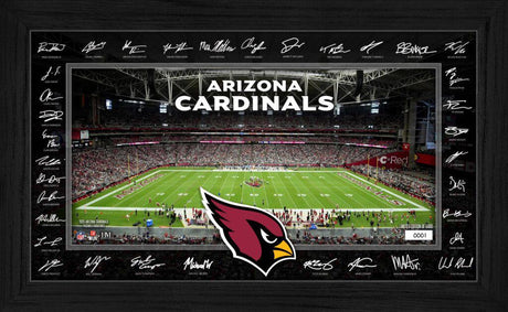 Cardinals 2025 NFL Signature Gridiron