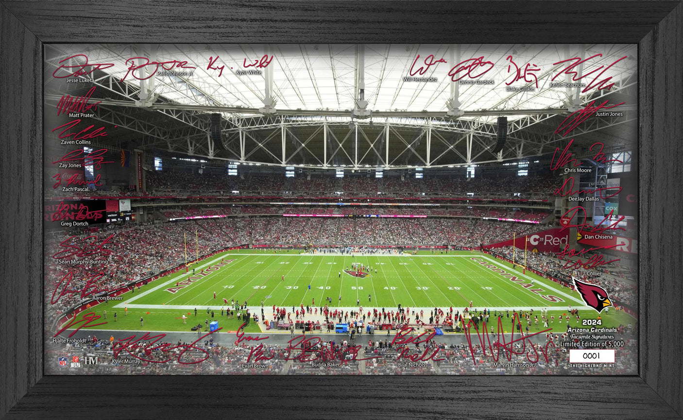 Arizona Cardinals 2024 NFL Signature Gridiron