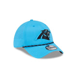 Panthers 2025 New Era Men's 39THIRTY Performance Hat
