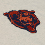 Bears 2026 Mitchell & Ness Men's Retro Roots French Terry Hoodie