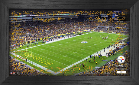 Pittsburgh Steelers 2024 NFL Signature Gridiron