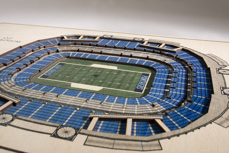 Panthers 5-Layer StadiumViews Wall Art