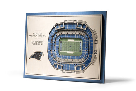 Panthers 5-Layer StadiumViews Wall Art