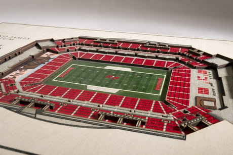 Buccaneers 5-Layer StadiumViews Wall Art