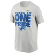 Lions 2026 Nike Men's Essential Cotton T-Shirt