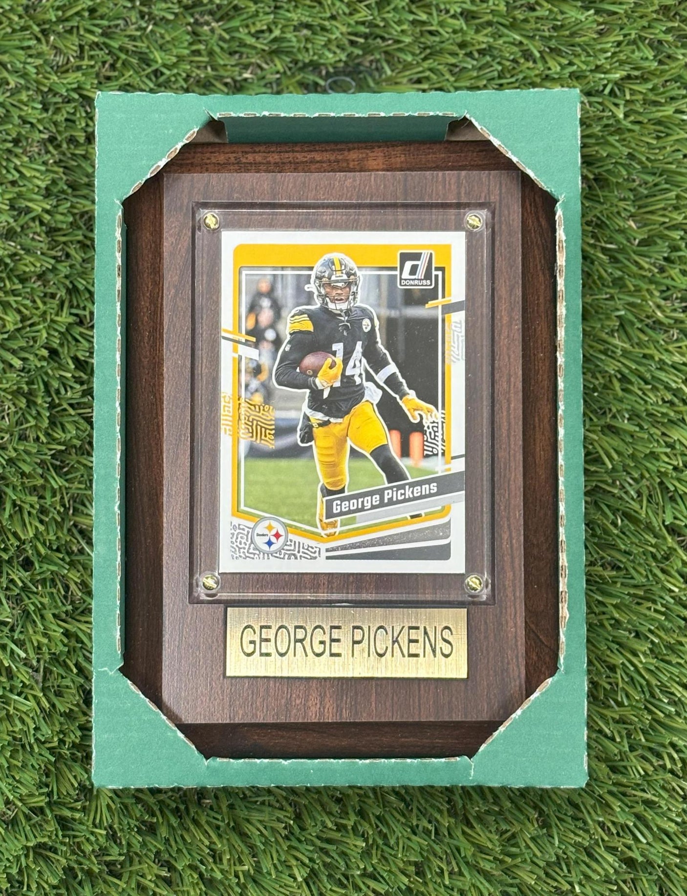 George Pickens 4x6 Plaque
