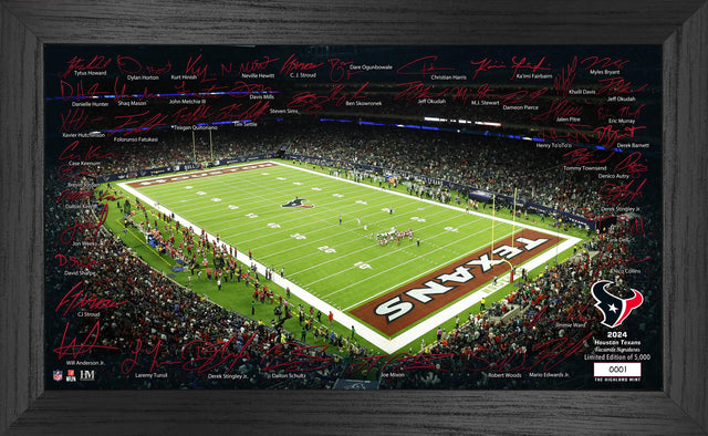 Houston Texans 2024 NFL Signature Gridiron