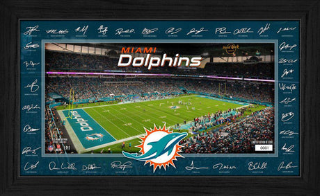 Dolphins 2025 NFL Signature Gridiron