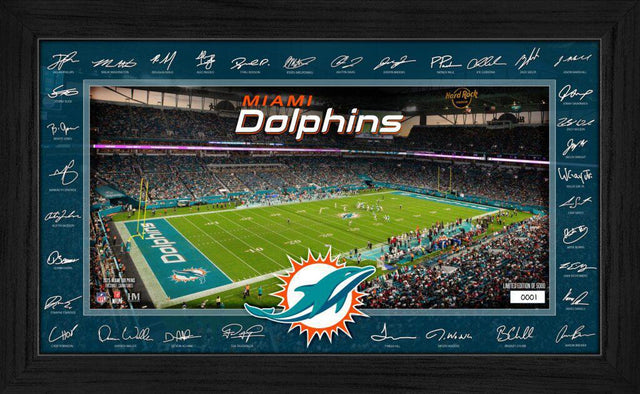 Dolphins 2025 NFL Signature Gridiron