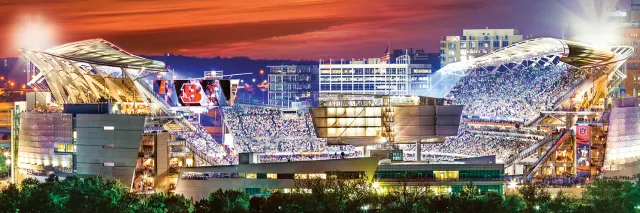 Bengals 1000pc Panoramic Puzzle - Stadium View