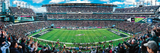 Eagles 1000pc Panoramic Puzzle- DS