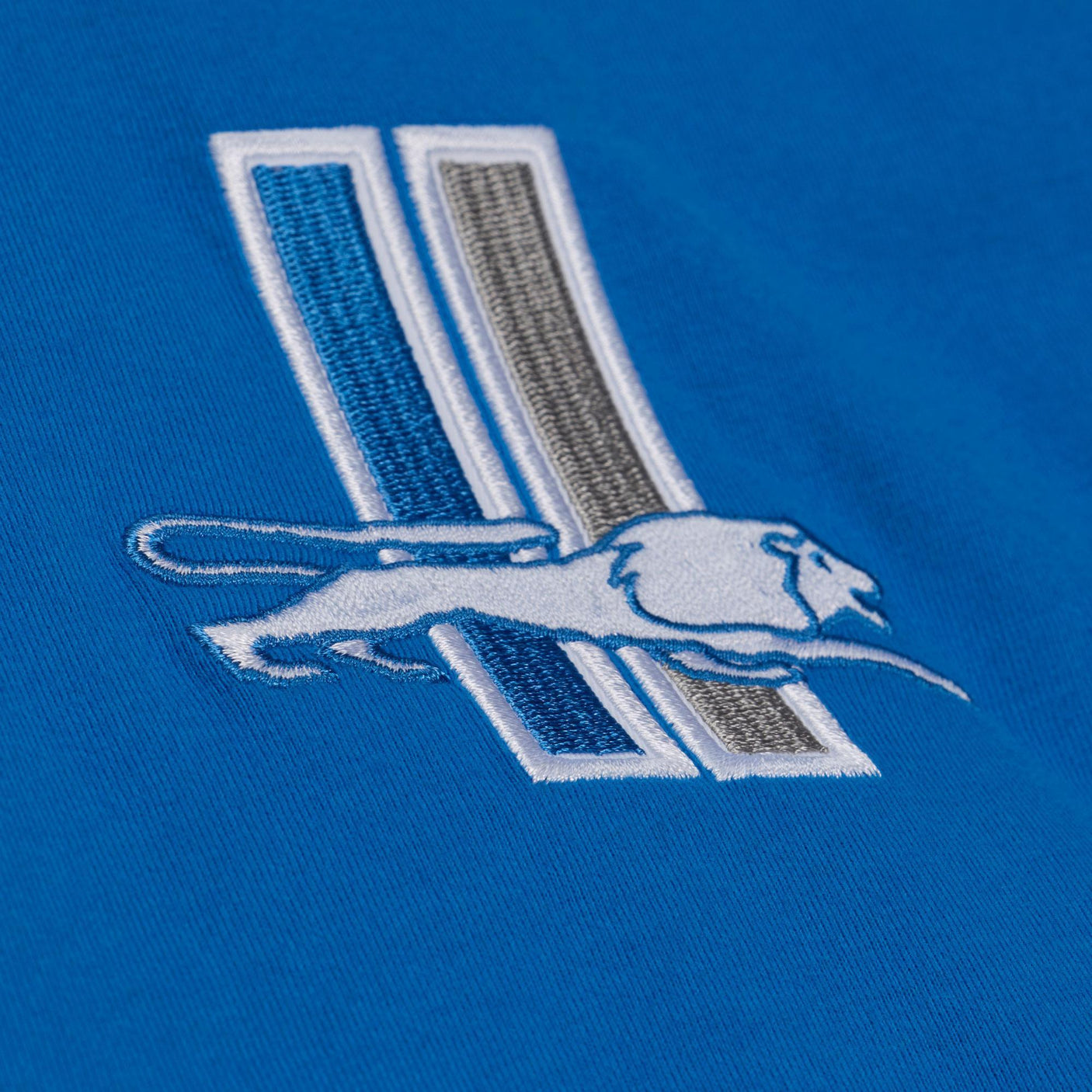 Lions 2026 Mitchell and Ness Men's Head Coach T-Shirt