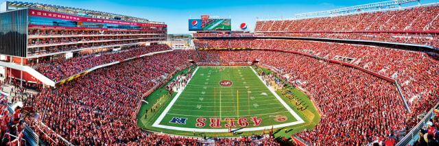 49ers 1000pc Panoramic Puzzle- Endzone