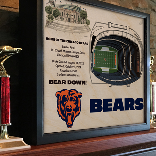 Bears StadiumView Wall Art 3-D Replica Stadium