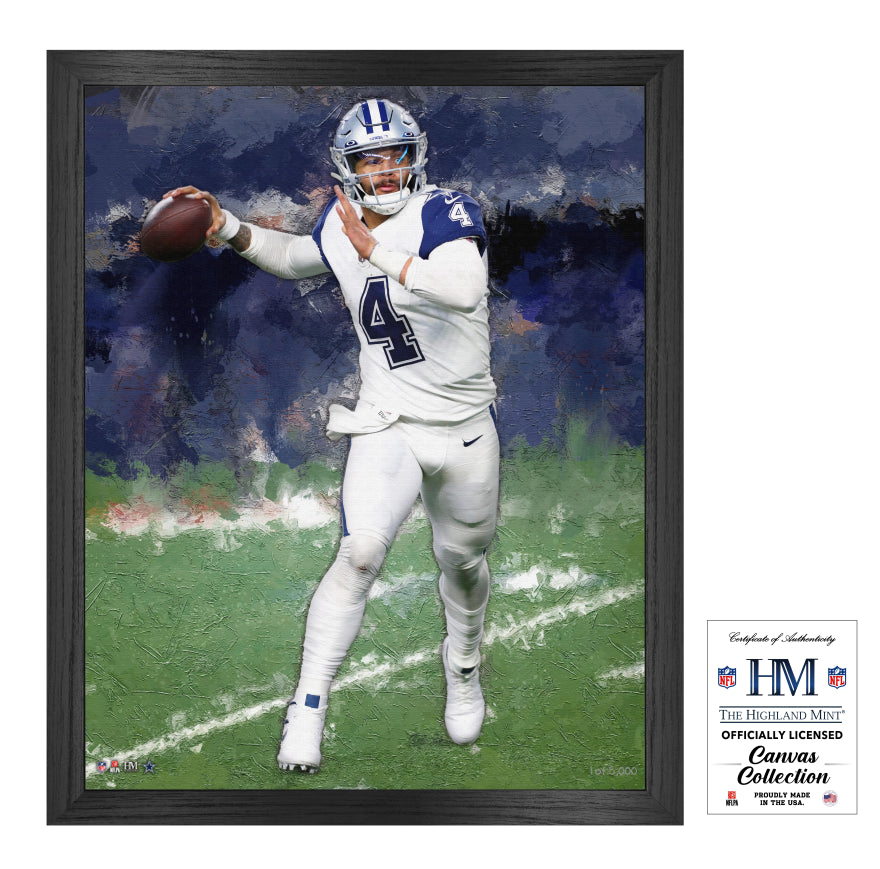 Dallas Cowboys Dak Prescott 16x20 Framed Canvas