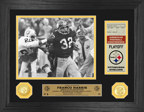 F harris immaculate reception