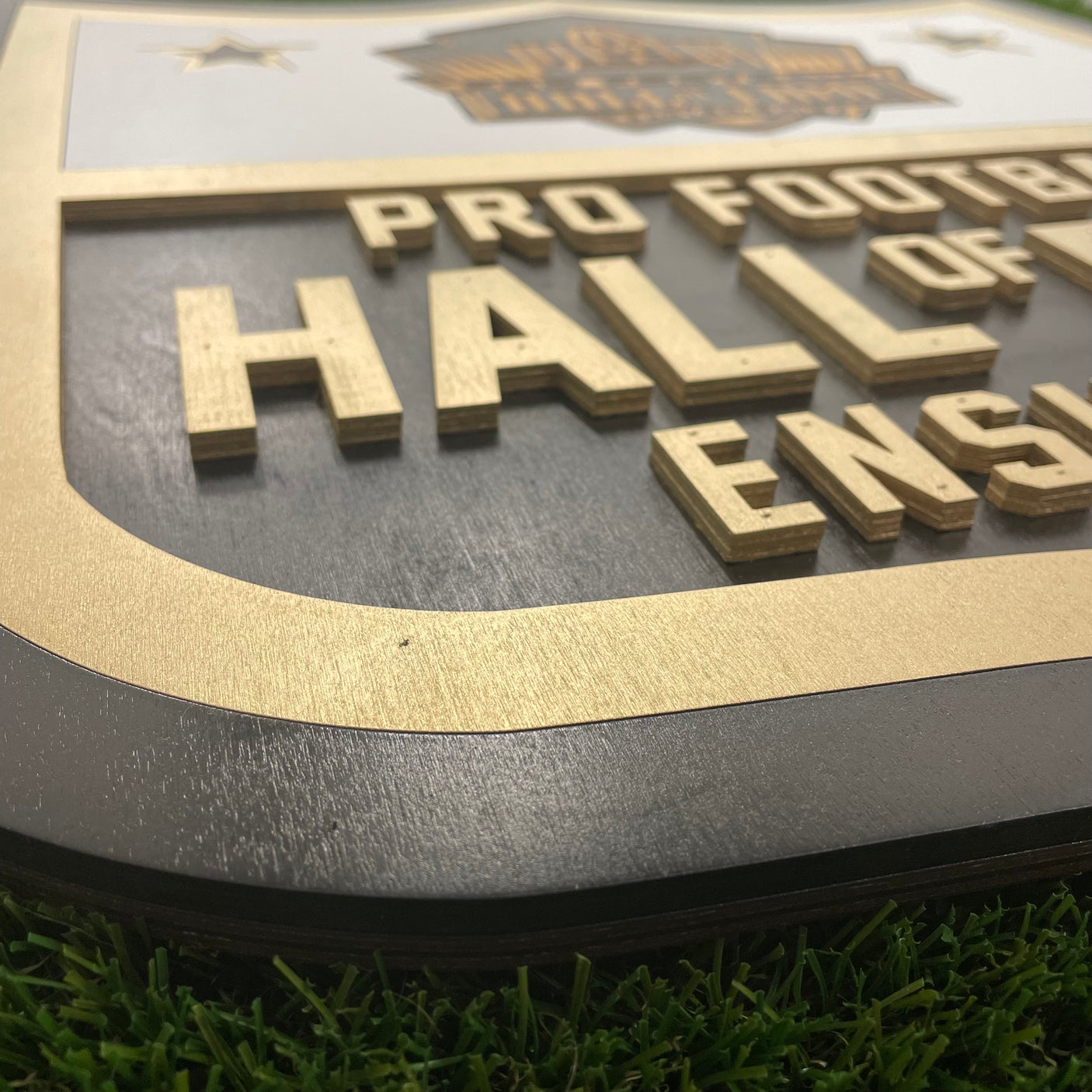 3D Hall Of Fame Enshrinee Patch Wall Sign