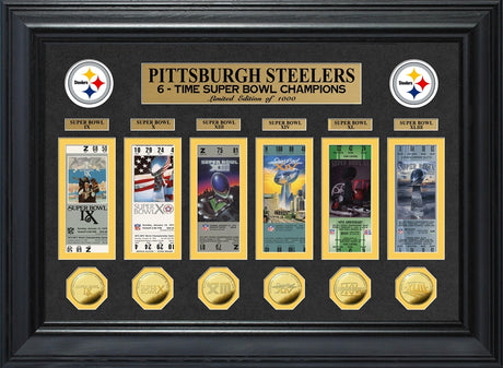 Steelers Super Bowl Ticket and Game Coin Collection Framed (PSSBTICK)