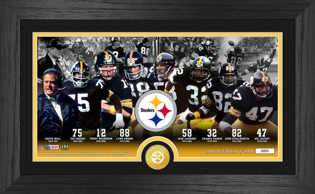 Steelers dynasty 10x18 pano