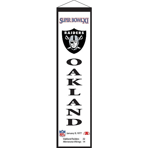 Super Bowl XI Banner