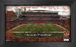 Cincinnati Bengals 2024 NFL Signature Gridiron