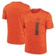 Browns Nike Dri-Fit Velocity T-Shirt 2024