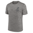 Lions 2026 Nike Men's Team Issue Velocity T-Shirt