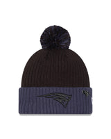 Patriots 2024 New Era Inspire Change Knit