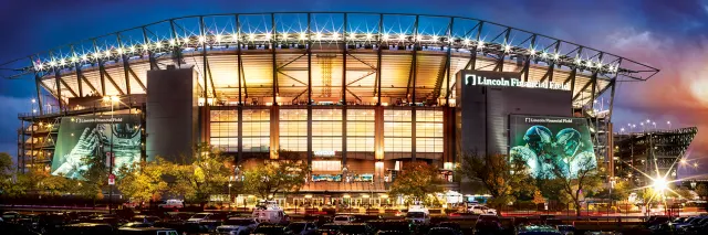 Eagles 1000pc Panoramic Puzzle - Stadium View