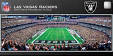 Raiders 1000pc Panoramic Puzzle- Endzone