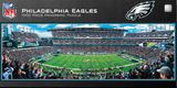 Eagles 1000pc Panoramic Puzzle- DS
