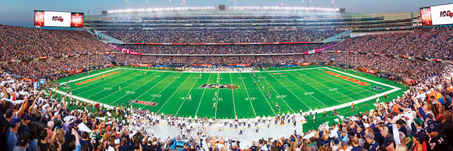 Bears 1000pc Panoramic Puzzle - 50yd line