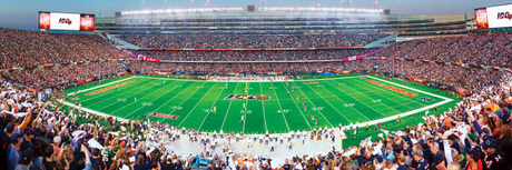 Bears 1000pc Panoramic Puzzle - 50yd line Pro Football Hall of Fame