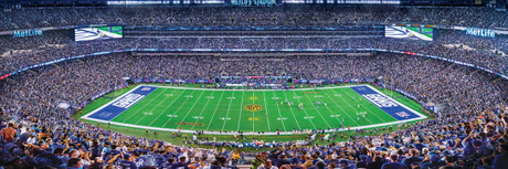 Giants 1000pc Panoramic Puzzle - DS Pro Football Hall of Fame
