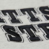 Steelers 2025 Mitchell & Ness Men's NFL Off Season Fleece Hoodie Vintage Logo Sweatshirt