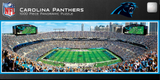 Panthers 1000pc Panoramic Puzzle - 50yd line