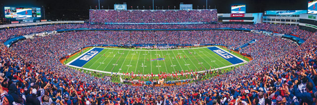 Bills 1000pc Panoramic Puzzle - 50yd line Pro Football Hall of Fame
