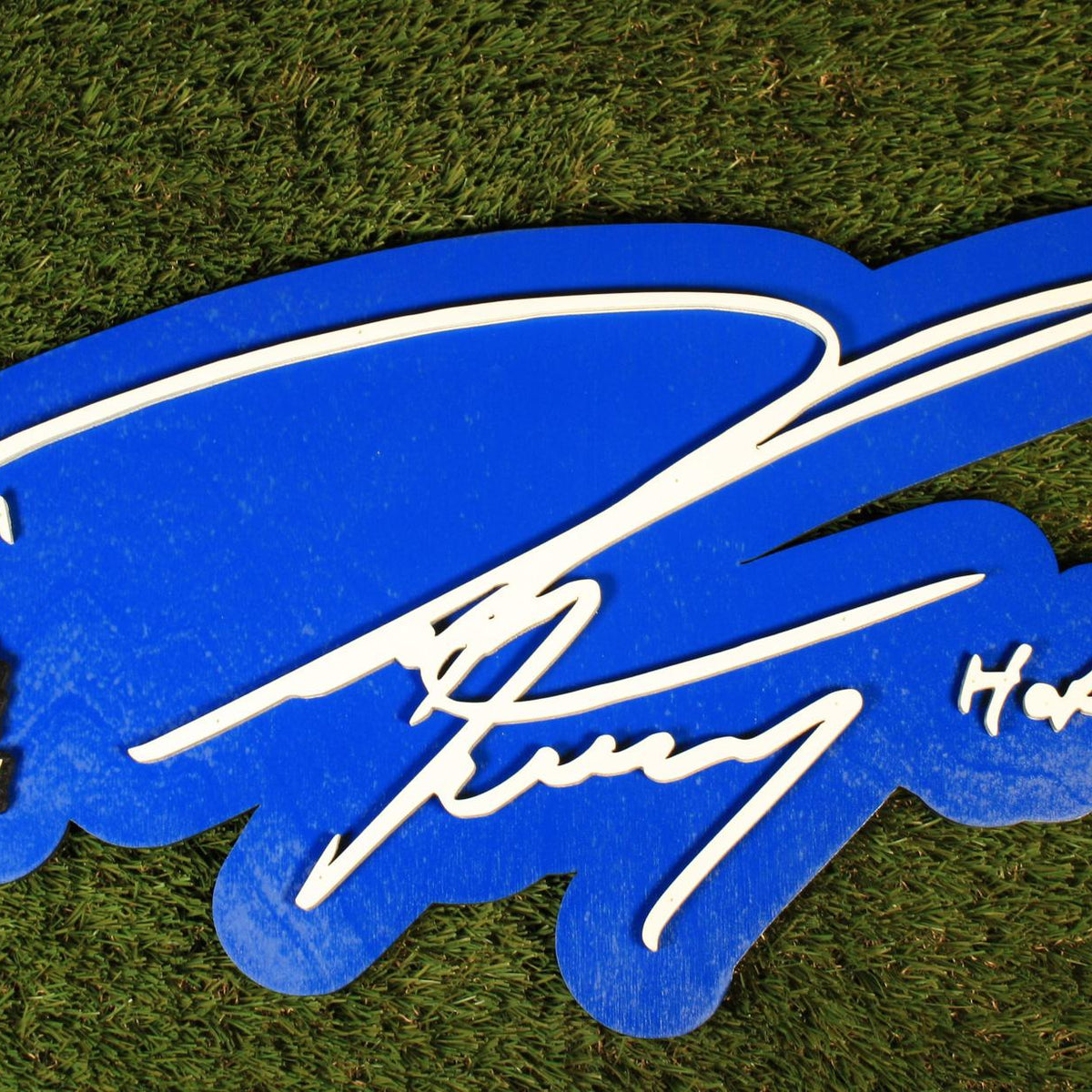 Dwight Freeney 3D Signature Color Wall Sign Pro Football Hall of Fame