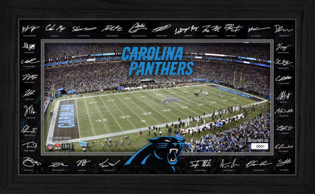Panthers 2025 NFL Signature Gridiron