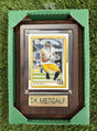 DK Metcalf 4x6 Plaque